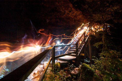 A wooden staircase illuminated by colorful lights, surrounded by trees in a dark, natural setting.