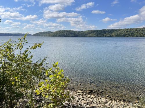 A serene lake view with clear water, green hills in the background, and lush foliage along the shore.