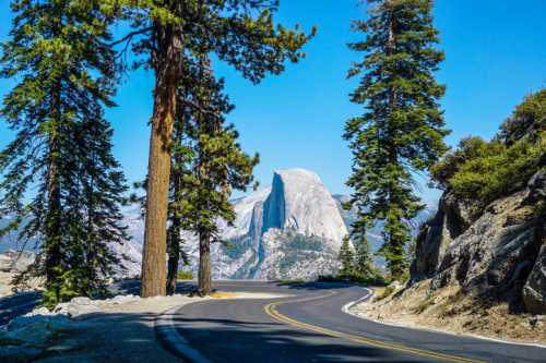 A winding road framed by tall trees, leading to a view of a prominent mountain under a clear blue sky.