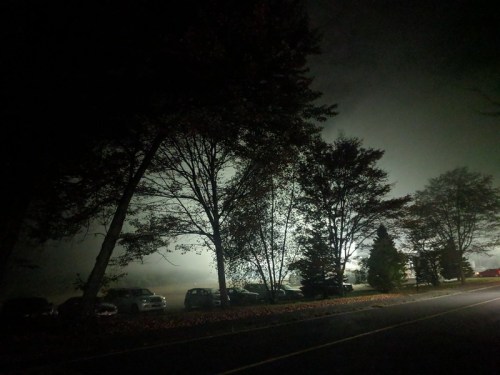 A foggy night scene with silhouetted trees and parked cars along a dimly lit road.