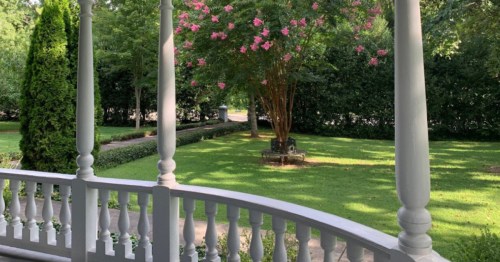 A view from a porch overlooking a green lawn with a flowering tree and neatly trimmed hedges.