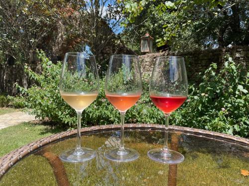 Three wine glasses filled with white, rosé, and red wine, set on a table in a sunny garden.