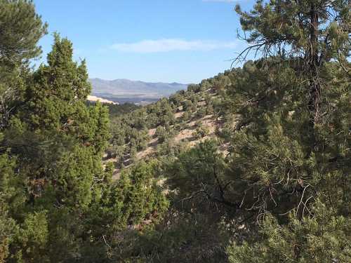 A scenic view of rolling hills covered in trees under a clear blue sky.