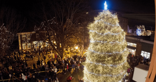A large, illuminated Christmas tree surrounded by a crowd of people at night, with festive lights in the background.