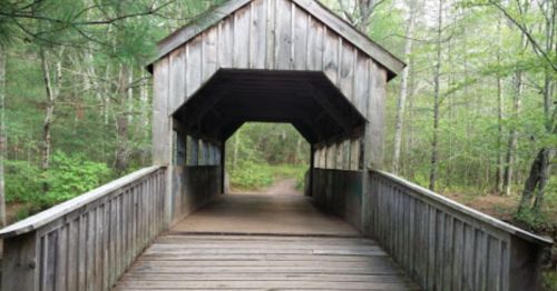 A wooden covered bridge leads into a lush green forest, with trees lining the path on either side.