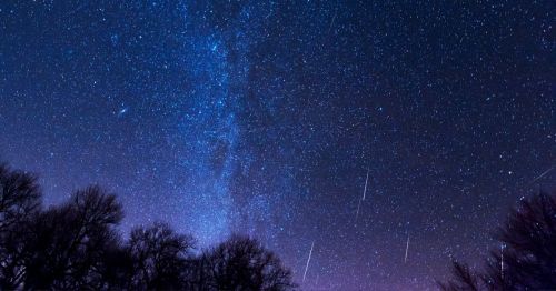 A starry night sky filled with stars and a visible Milky Way, framed by dark silhouettes of trees below.