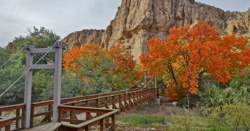 A wooden suspension bridge leads through vibrant autumn trees with orange foliage, set against a rocky cliff backdrop.