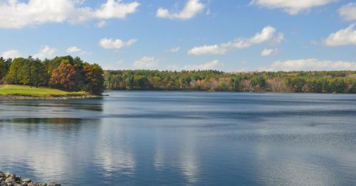 A serene lake surrounded by trees, reflecting clouds and blue sky on a calm day.