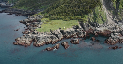 Aerial view of a rocky coastline with lush green hills and clear blue water.