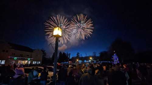 Crowd watching colorful fireworks in the night sky, with festive lights and a decorated tree in the background.