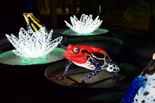 Colorful illuminated frogs on lily pads, surrounded by glowing lotus flowers at night.