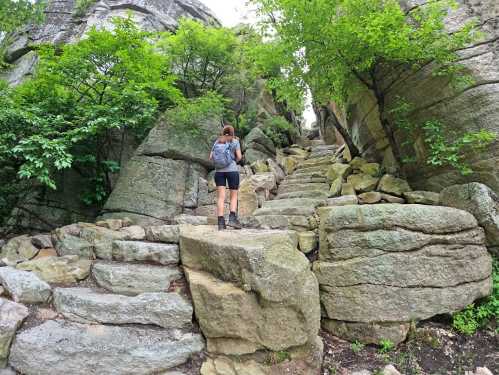 A person climbs a rocky path surrounded by greenery and large boulders.