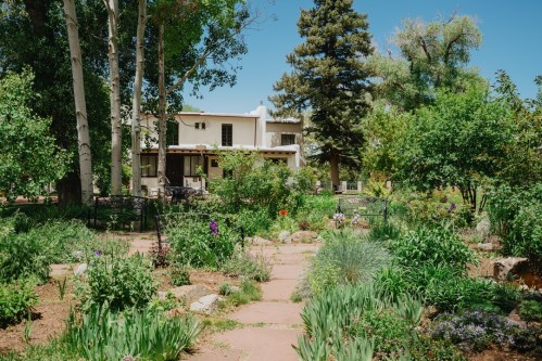 A lush garden with various plants and flowers, leading to a white house surrounded by trees under a clear blue sky.