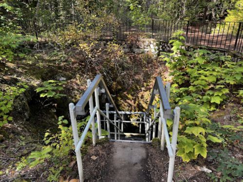 A set of metal stairs leading down into a wooded area, surrounded by greenery and a stone wall in the background.