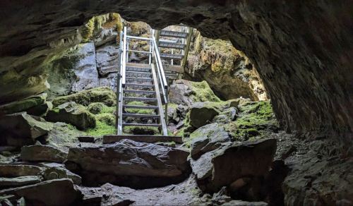 A view from inside a cave, showing a metal staircase leading up to a moss-covered opening above.
