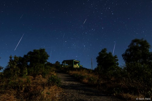 A serene night sky filled with stars and meteor trails above a hillside path leading to a small green structure.