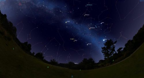 A night sky filled with stars and constellations, featuring the Milky Way and a grassy foreground.