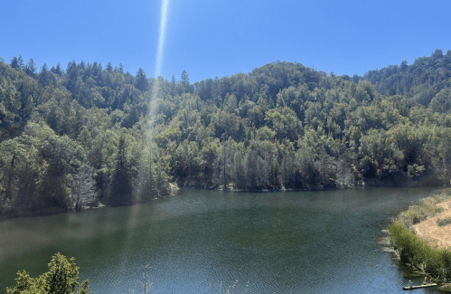 A serene lake surrounded by lush green trees under a clear blue sky. Sunlight reflects on the water's surface.