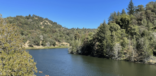 A serene lake surrounded by lush greenery and hills under a clear blue sky.
