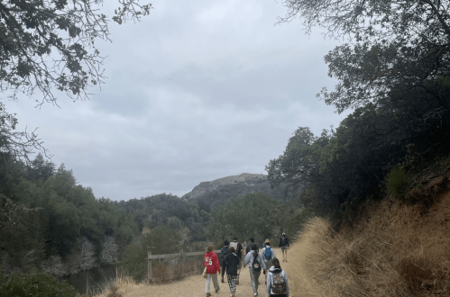 A group of people walking along a dirt path surrounded by trees and hills under a cloudy sky.
