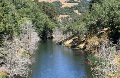 A serene river flows through a lush landscape, bordered by trees and dry vegetation under a clear blue sky.