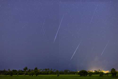 A night sky filled with stars and multiple meteor trails over a dark landscape with trees and distant lights.