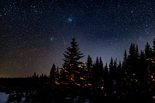 A starry night sky filled with stars and meteors above a forest of evergreen trees.