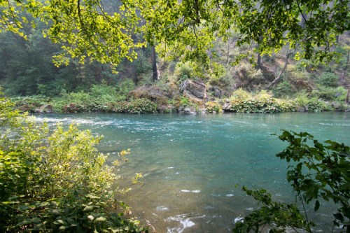 A serene river flows through a lush, green landscape, surrounded by trees and vibrant foliage.