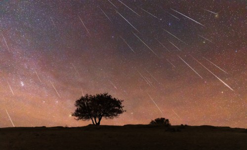 A silhouette of a tree against a starry sky filled with shooting stars and a colorful cosmic backdrop.