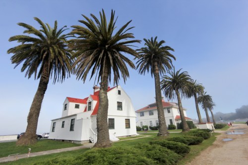 A white house with a red roof surrounded by tall palm trees on a foggy day.