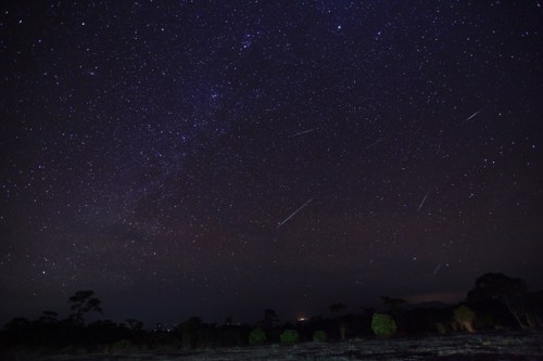 A starry night sky filled with numerous shooting stars over a dark landscape with silhouettes of trees.