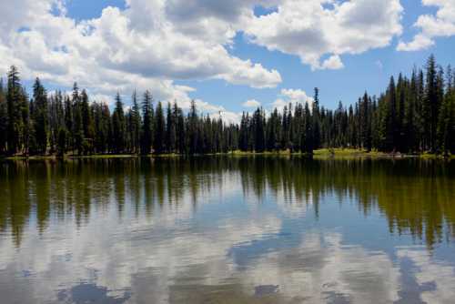 A serene lake surrounded by tall trees, reflecting clouds and greenery on a clear day.