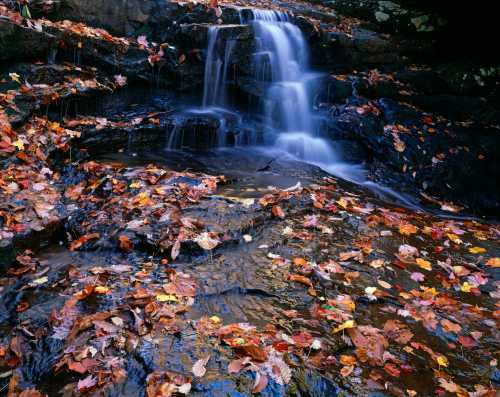 A serene waterfall cascades over rocks, surrounded by colorful autumn leaves.