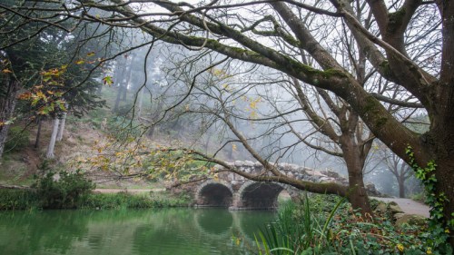 A serene landscape featuring a foggy pond, a stone bridge, and bare trees reflecting autumn's quiet beauty.