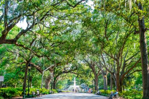 A tree-lined path leads to a fountain in a lush park, with people walking and biking under the green canopy.