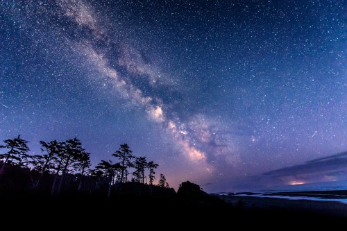 A starry night sky filled with the Milky Way, framed by silhouettes of trees against a dark landscape.
