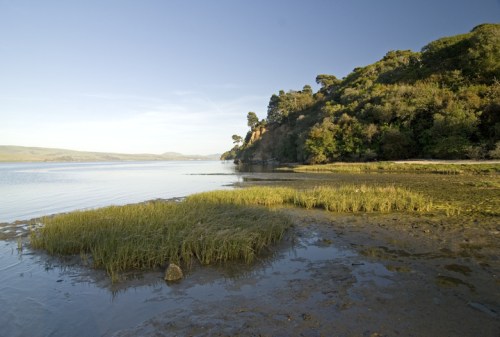 Serene landscape of a calm waterway with lush greenery and a hillside in the background under a clear blue sky.