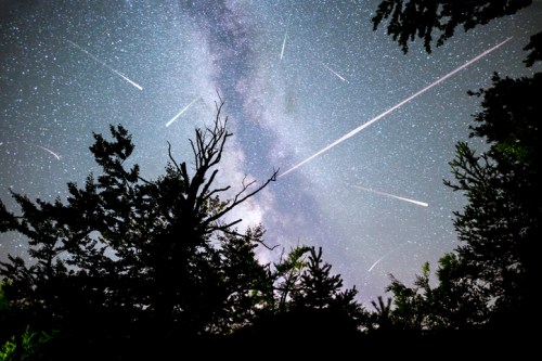 A starry night sky filled with the Milky Way and multiple shooting stars, framed by silhouetted trees.