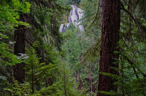 A serene forest scene with tall trees framing a distant waterfall cascading down rocky cliffs.