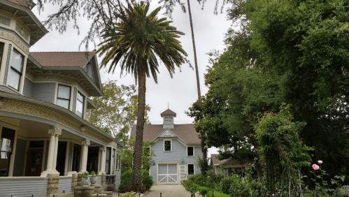 A charming blue house with a palm tree and lush greenery in the foreground, under a cloudy sky.