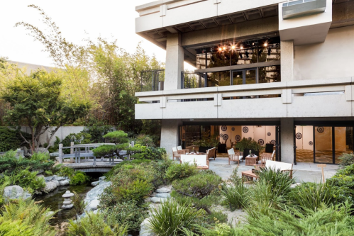A serene outdoor space with a pond, bridge, and lush greenery beside a modern building with large windows.