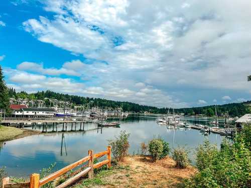 A serene marina with boats docked, surrounded by lush greenery and a cloudy blue sky.