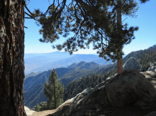 A scenic view of mountains and valleys framed by tree branches, under a clear blue sky.
