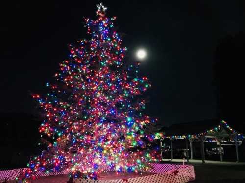 A brightly lit Christmas tree adorned with colorful lights, set against a night sky with a full moon.