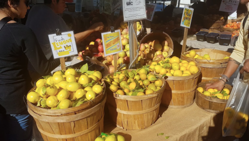 Baskets of fresh lemons and limes at a market, with signs indicating their freshness and variety.