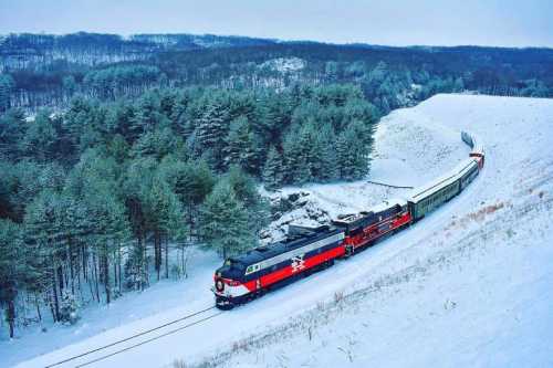 A red and black train curves through a snowy landscape, surrounded by evergreen trees and rolling hills.