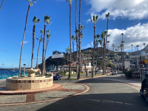 A scenic view of a coastal street lined with palm trees, leading to a hillside with buildings and a blue sky.