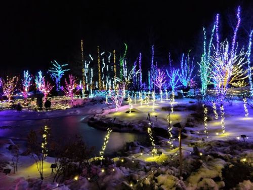 A winter landscape illuminated by colorful lights on trees, reflecting in a serene pond at night.