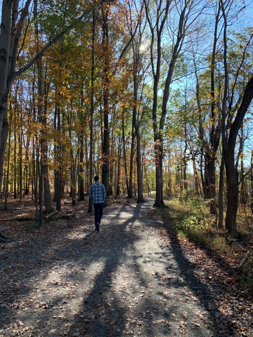 A person walks along a dirt path in a forest with colorful autumn leaves and tall trees under a clear blue sky.