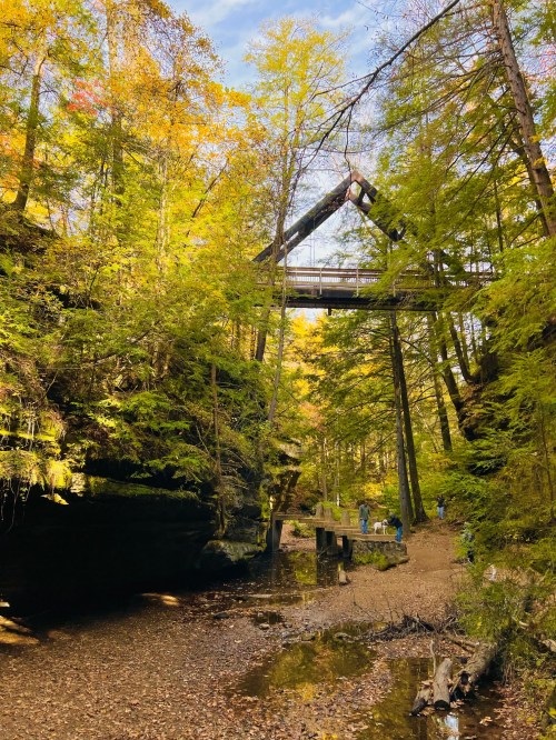 A scenic view of a forested area with vibrant autumn leaves and a bridge overhead, surrounded by rocky terrain.